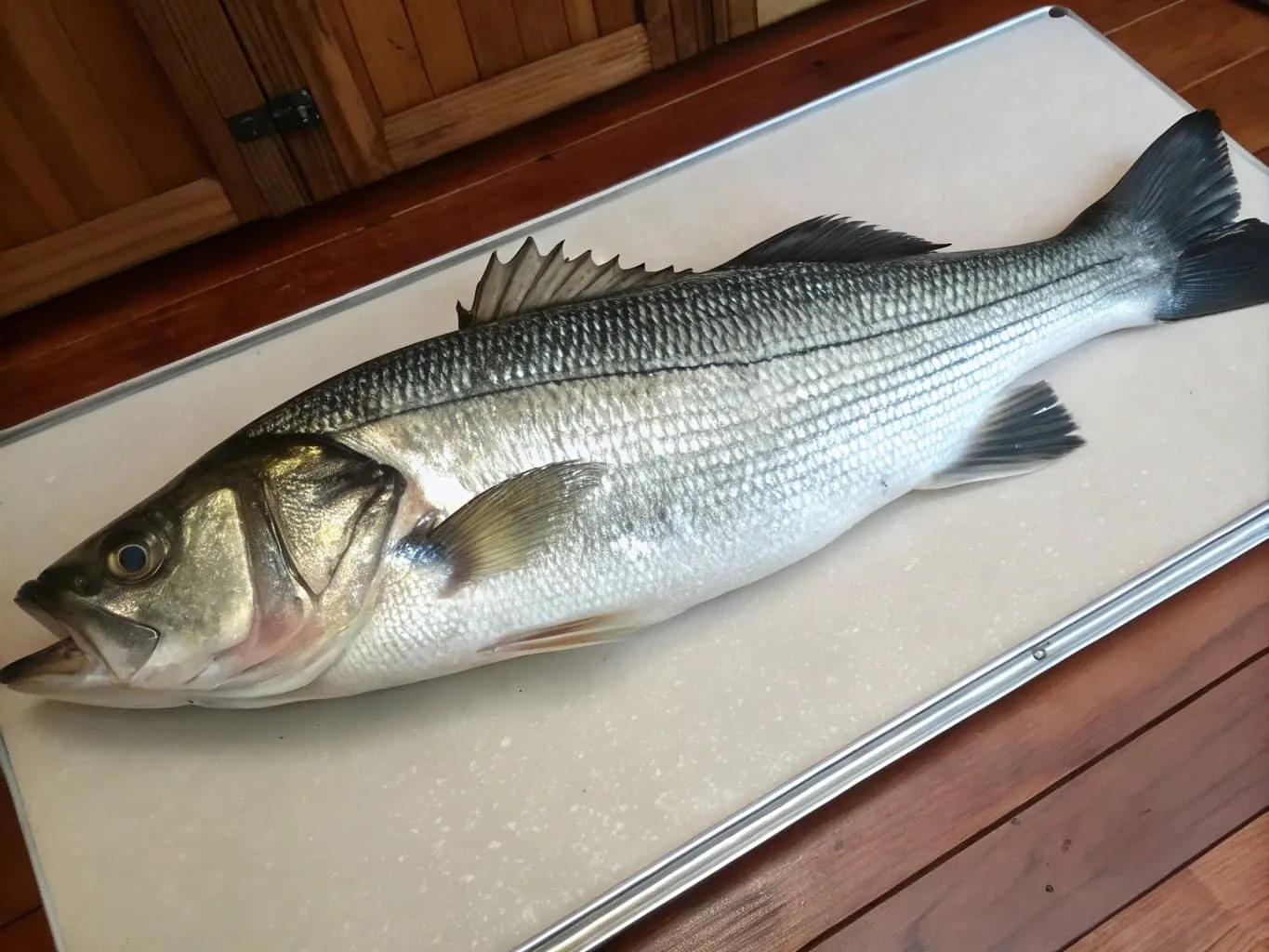 Is Bass Fish Low FODMAP? The Full Guide