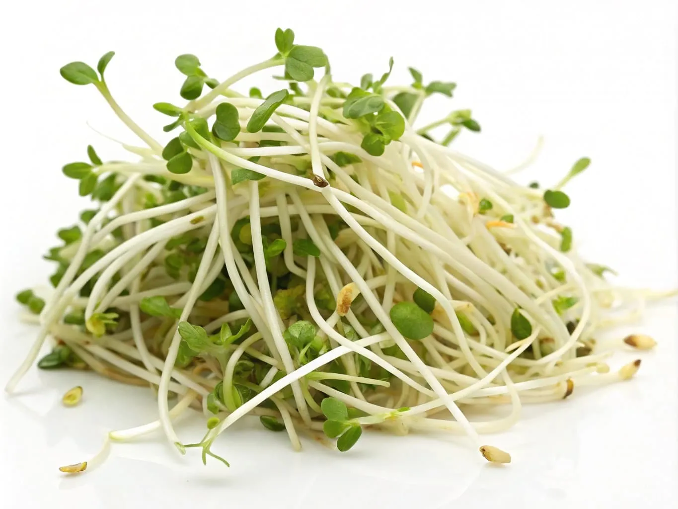 Are Mung Bean Shoots Low FODMAP? The Full Guide